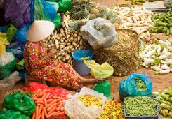 Hanoi woman