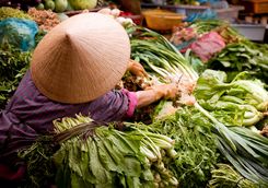 Market seller in Hanoi