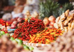 Red chillies