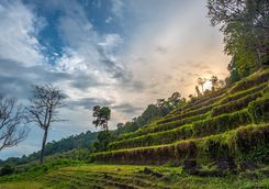 Wat Phou Castle