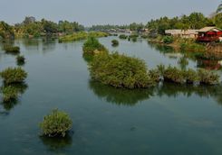 Island on the Mekong River