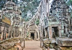 Ta Prohm temple