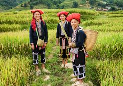 Red Dao hill tribe