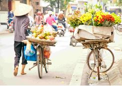 Hoi An vendor on bicycle