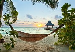 Hammock on a beach
