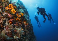 Diving from the Four Seasons