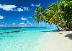 White sand beach in the Maldives