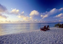 beach at sunset