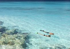 Snorkelling in Anguilla