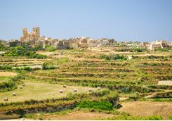 Rural Landscape, Gozo