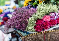 flower market Hanoi