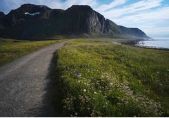 Cycle path in the Lofoten Islands