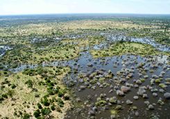Okavango Delta aerial