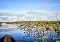 Mokoro canoe trip