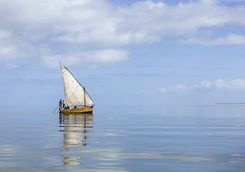 Dhow sailing in Mozambique