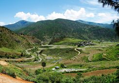 Chimi Lhakhang