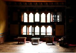 Chimi Lhakhang temple