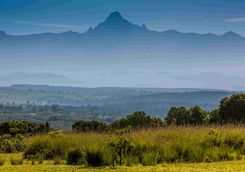 Mount Kenya view