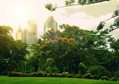 brisbane botanical garden
