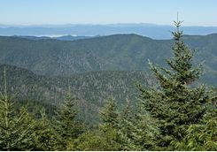 mount mitchell