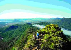 mount mitchell