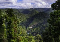 athertons tablelands