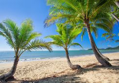 tropical coastline