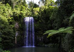 millaa millaa waterfall