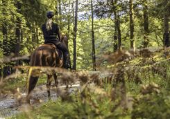 Horse riding