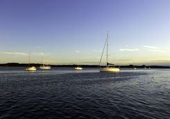 Boats in a bay