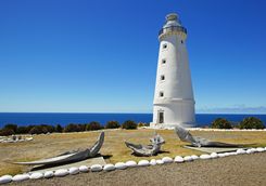 Cape Willoughby
