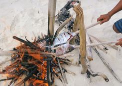 Open fire fish cooking