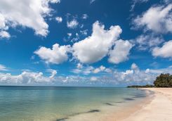 Beach in Mozambique