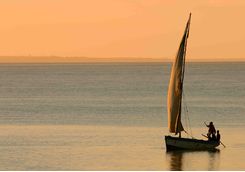 Dhow sunset
