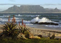 table mountain coastline