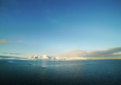 The south pole
