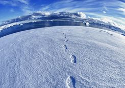 walking to the south pole