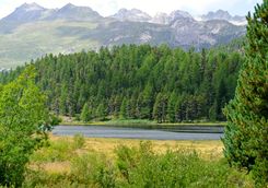 Lake Staz and mountains