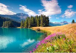 Lake Silvapana