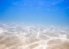 Mauritius underwater coastline