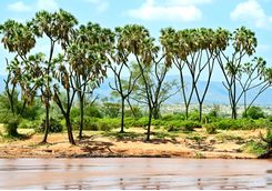 Samburu National Park