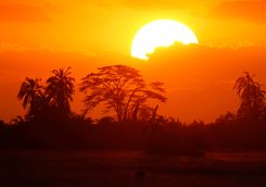Sunset in Kenya