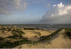 Lamu sand dunes