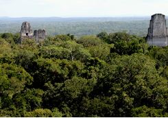 Tikal temple view