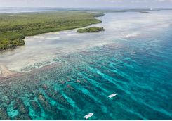 Belize reef aerial