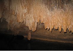 Stalactites in Barton Creek
