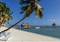 Palm Tree Beach