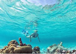 Snorkelling Underwater