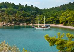 Sailing Boat