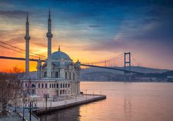 Mosque and Bridge